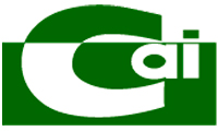 bg_logo_in